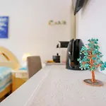 住宿加早餐酒店 Ametista 3*