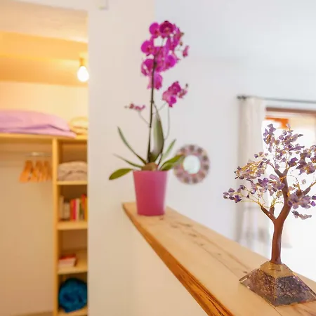 Ametista לינה וארוחת בוקר וילסימיוס