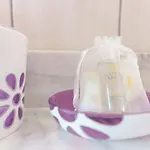 فندق مبيت وإفطار Ametista 3*