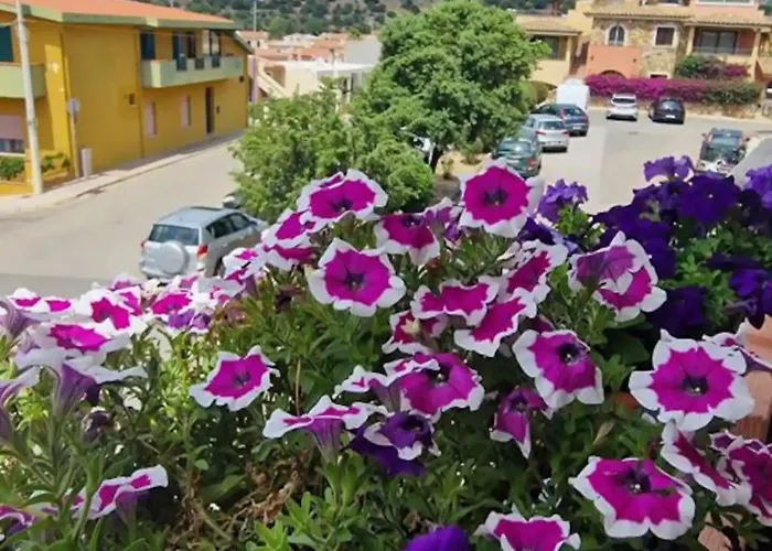 Ametista Oda ve Kahvaltı 3*